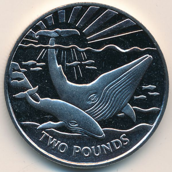 Южная Джорджия и Южные Сэндвичевы острова, 2 фунта (2017 г.)
