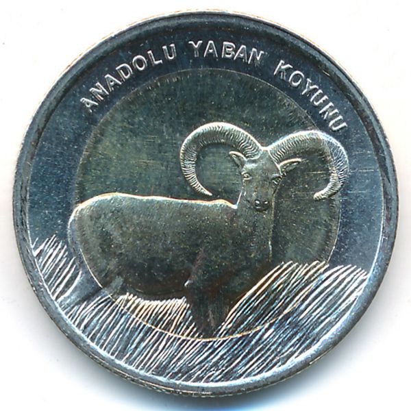 Турция, 1 лира (2015 г.)