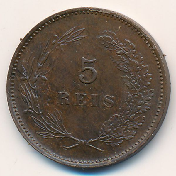 Португалия, 5 рейс (1910 г.)