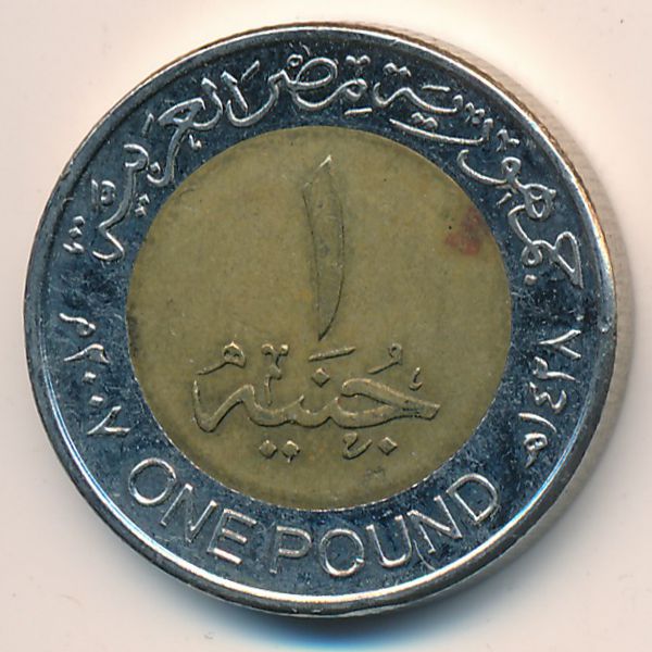 Египет, 1 фунт (2007 г.)