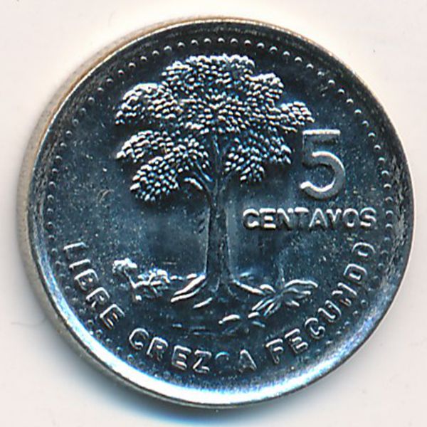 Гватемала, 5 сентаво (1992 г.)