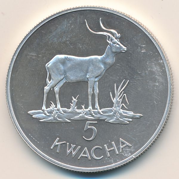 Замбия, 5 квача (1979 г.)