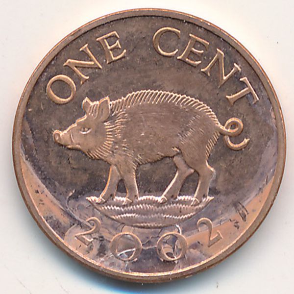 Бермудские острова, 1 цент (2002 г.)