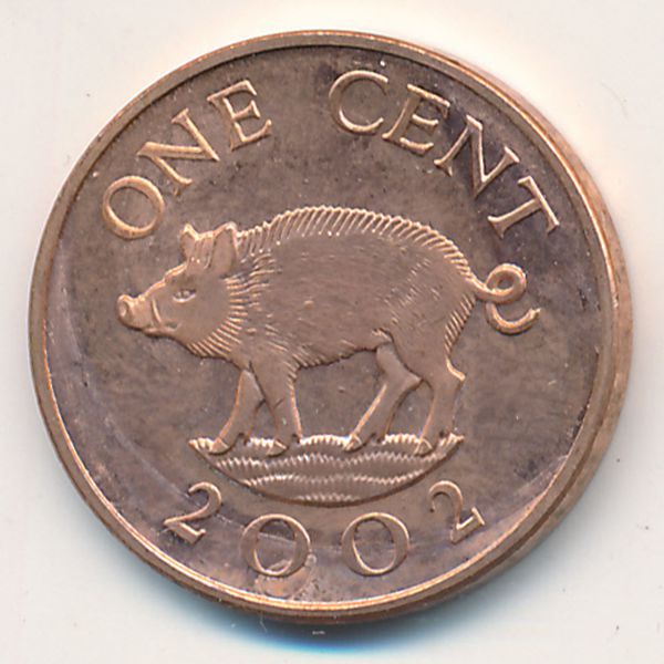 Бермудские острова, 1 цент (2002 г.)