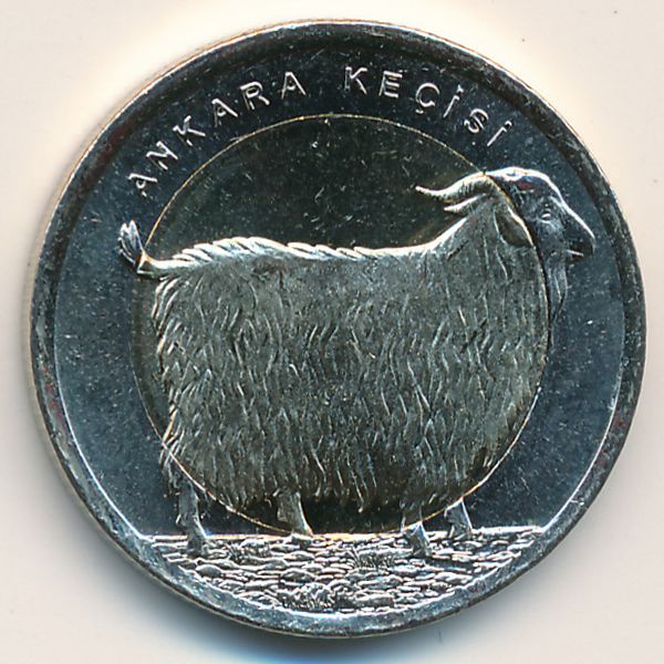 Турция, 1 лира (2015 г.)