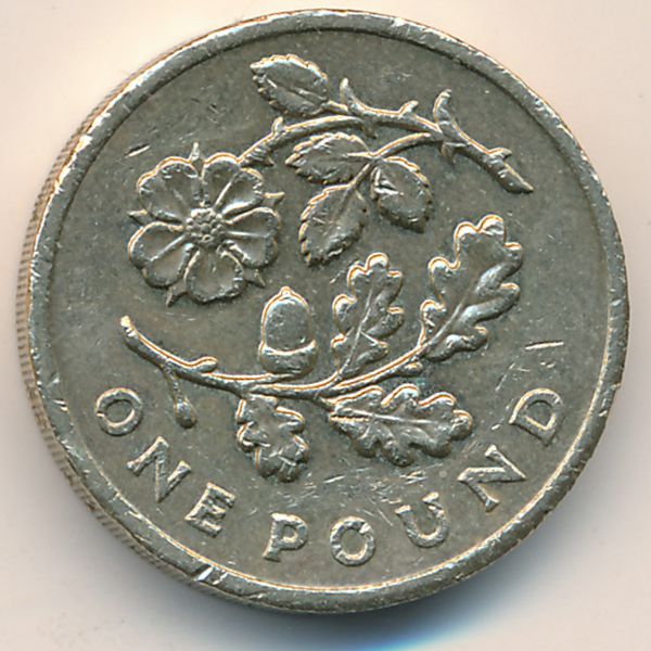 Великобритания, 1 фунт (2013 г.)