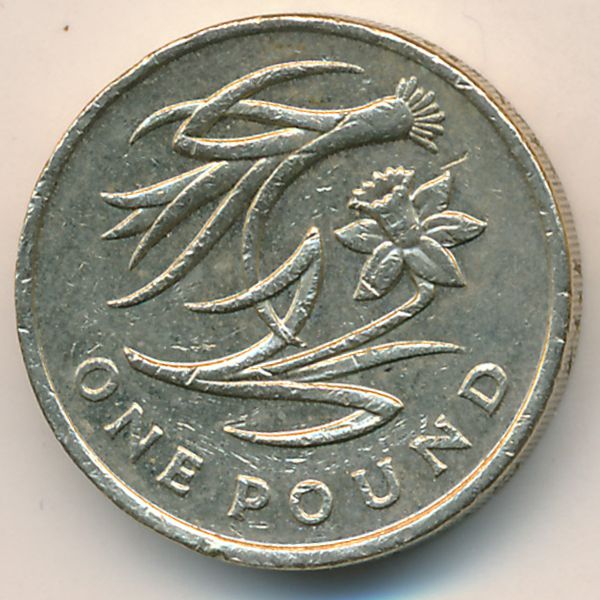 Великобритания, 1 фунт (2013 г.)