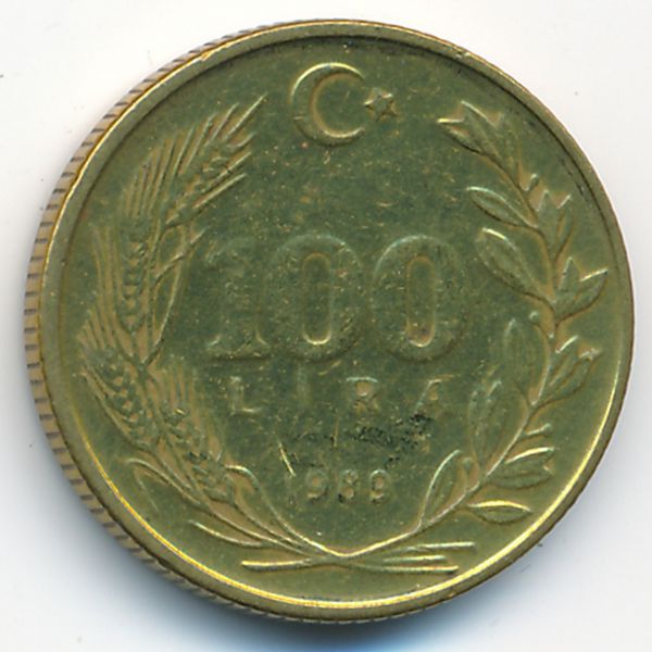 Турция, 100 лир (1989 г.)
