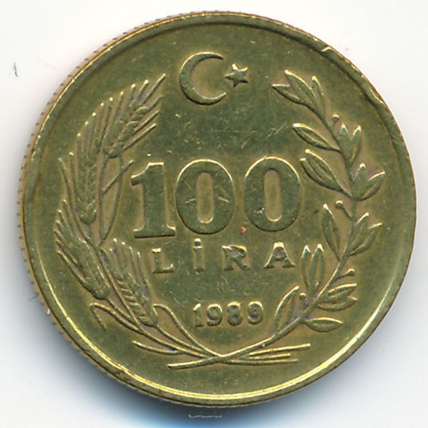 Турция, 100 лир (1989 г.)