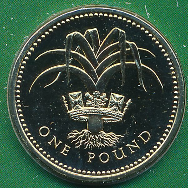Великобритания, 1 фунт (1985 г.)