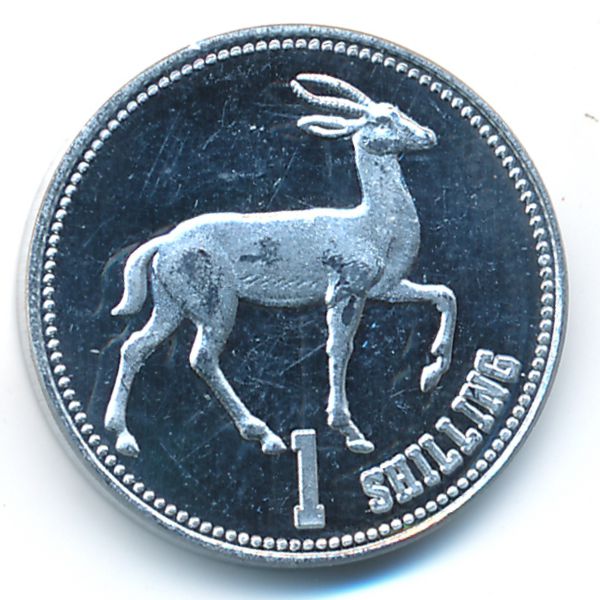 Сомалиленд, 1 шиллинг (2019 г.)