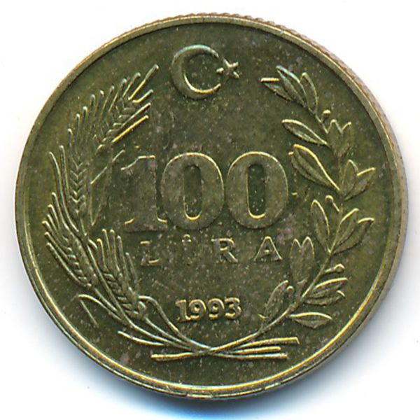 Турция, 100 лир (1993 г.)