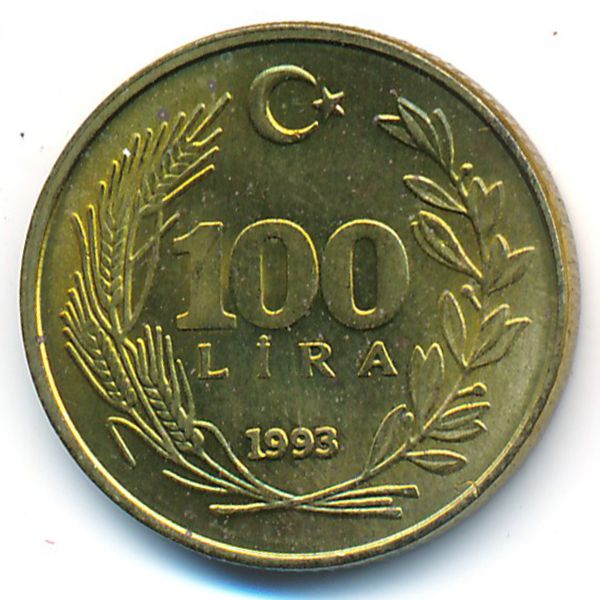 Турция, 100 лир (1993 г.)