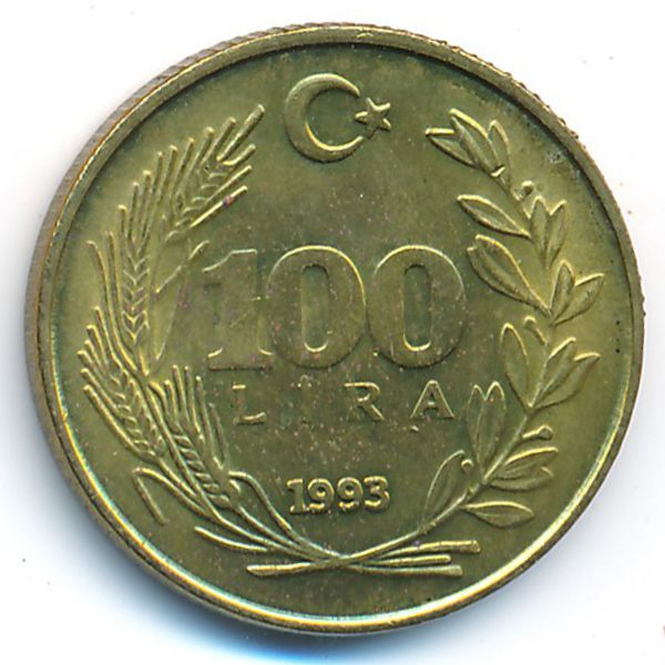 Турция, 100 лир (1993 г.)