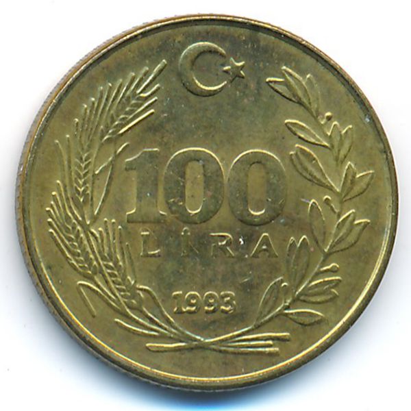 Турция, 100 лир (1993 г.)
