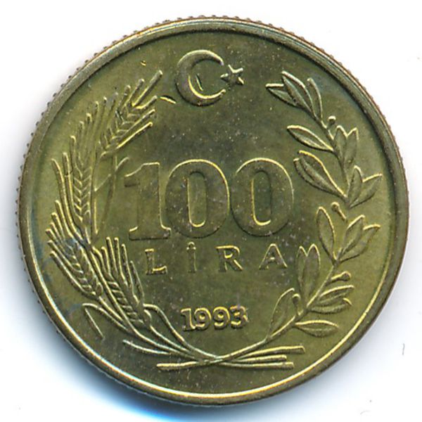Турция, 100 лир (1993 г.)