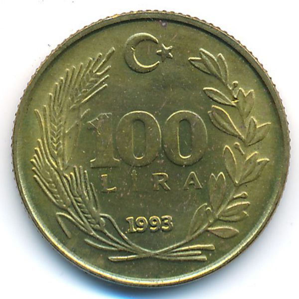 Турция, 100 лир (1993 г.)