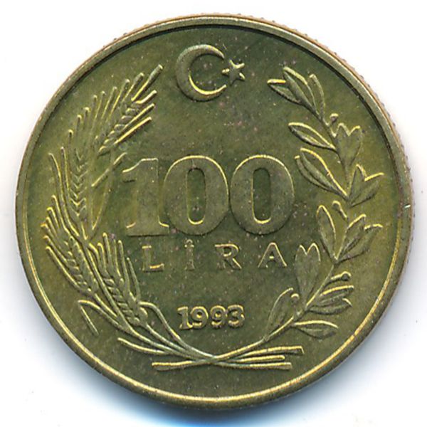 Турция, 100 лир (1993 г.)