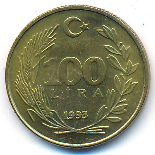Турция, 100 лир (1993 г.)