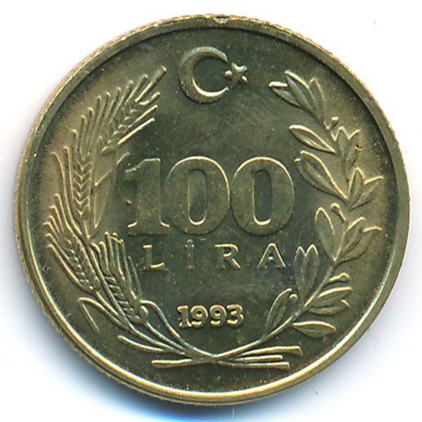 Турция, 100 лир (1993 г.)