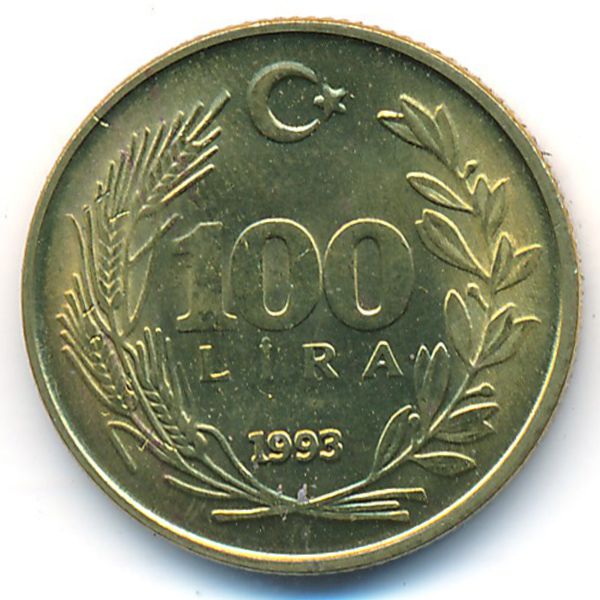 Турция, 100 лир (1993 г.)