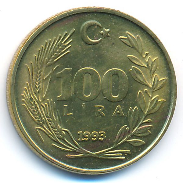 Турция, 100 лир (1993 г.)