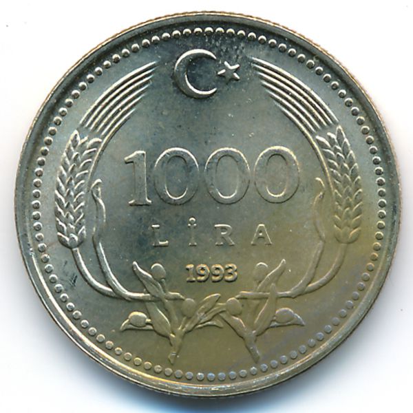 Турция, 1000 лир (1993 г.)