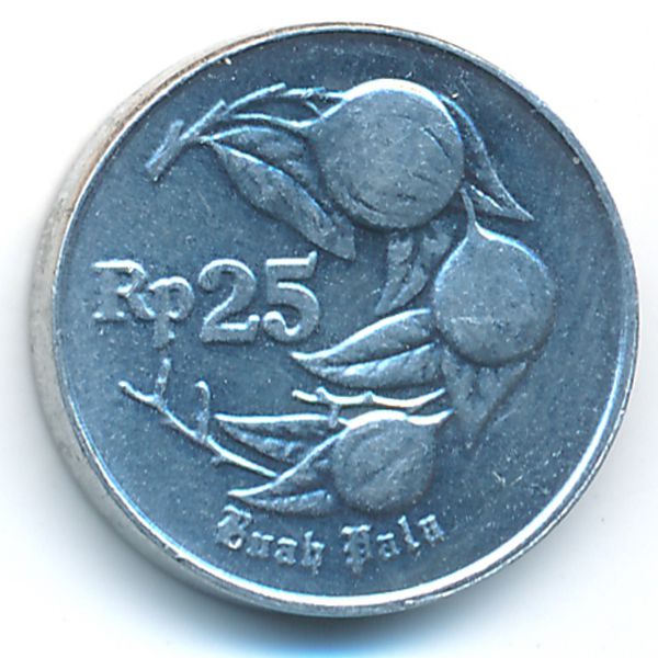 Индонезия, 25 рупий (1995 г.)