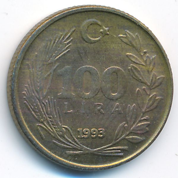 Турция, 100 лир (1993 г.)