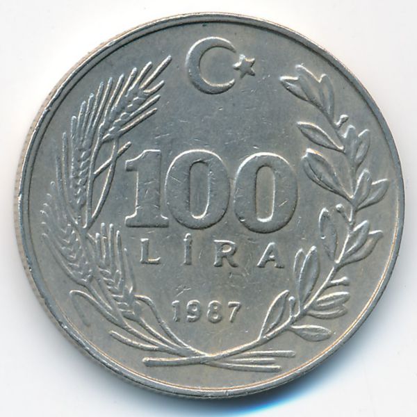 Турция, 100 лир (1987 г.)