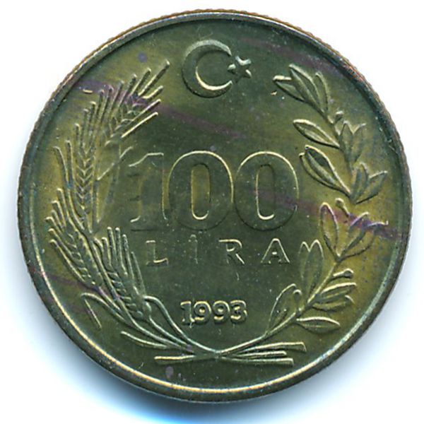 Турция, 100 лир (1993 г.)