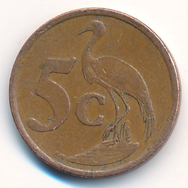 ЮАР, 5 центов (1999 г.)