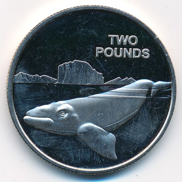 Британская Антарктика, 2 фунта (2017 г.)
