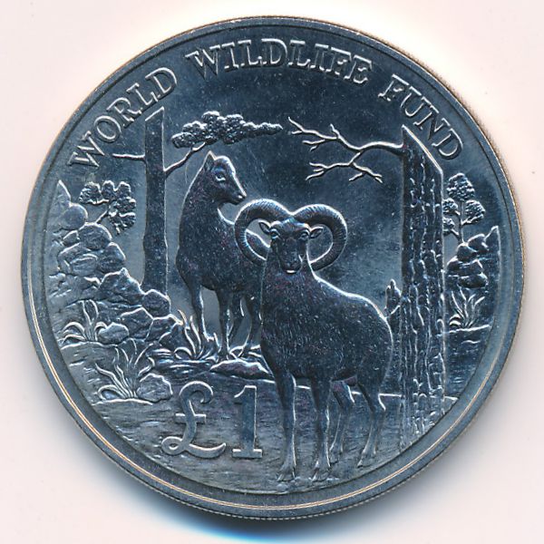 Кипр, 1 фунт (1986 г.)