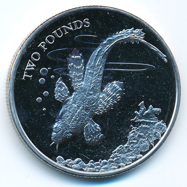 Британская Антарктика, 2 фунта (2021 г.)