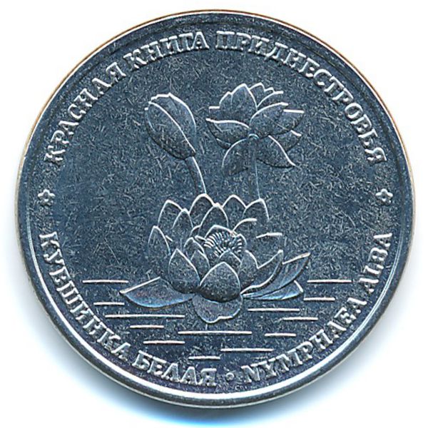 Приднестровье, 1 рубль (2021 г.)