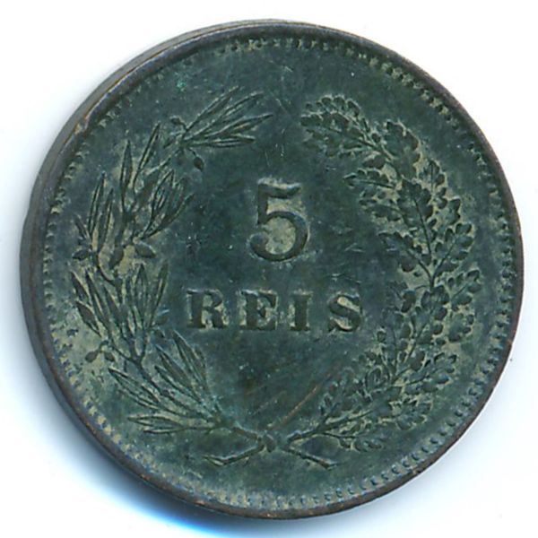 Португалия, 5 рейс (1893 г.)