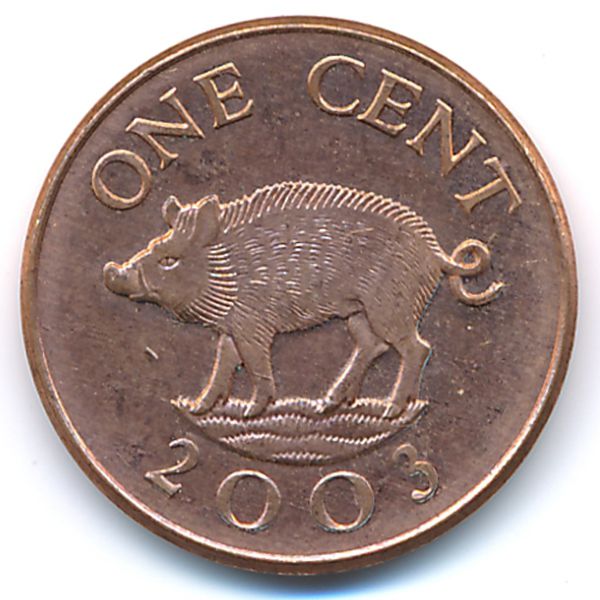 Бермудские острова, 1 цент (2003 г.)