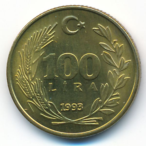 Турция, 100 лир (1993 г.)
