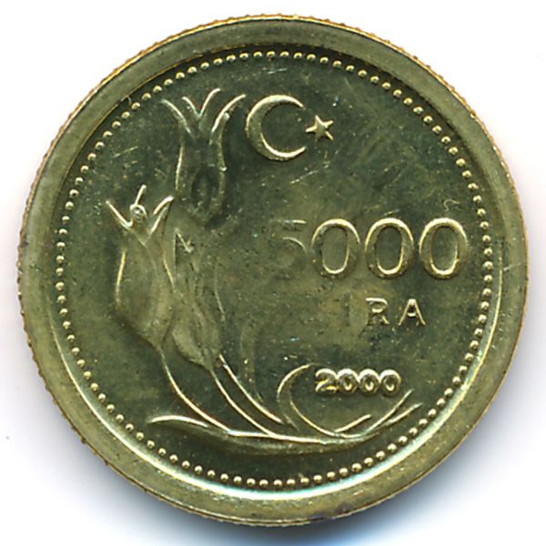 Турция, 5000 лир (2000 г.)