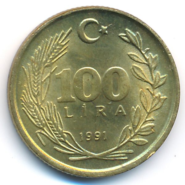 Турция, 100 лир (1991 г.)