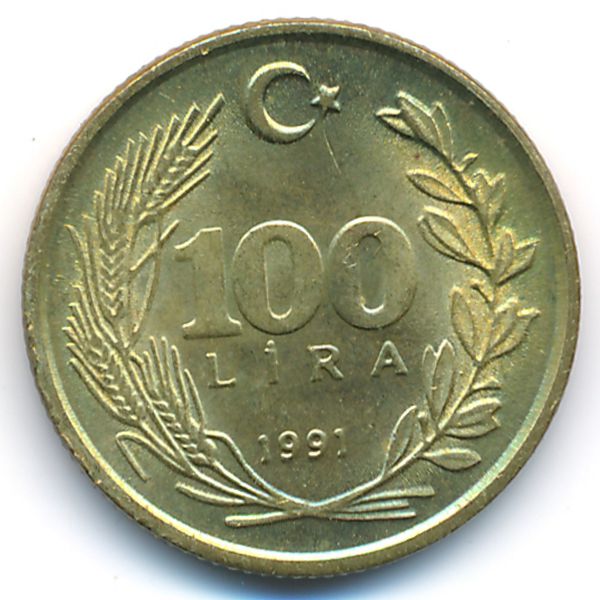 Турция, 100 лир (1991 г.)