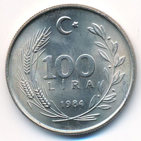 Турция, 100 лир (1984 г.)