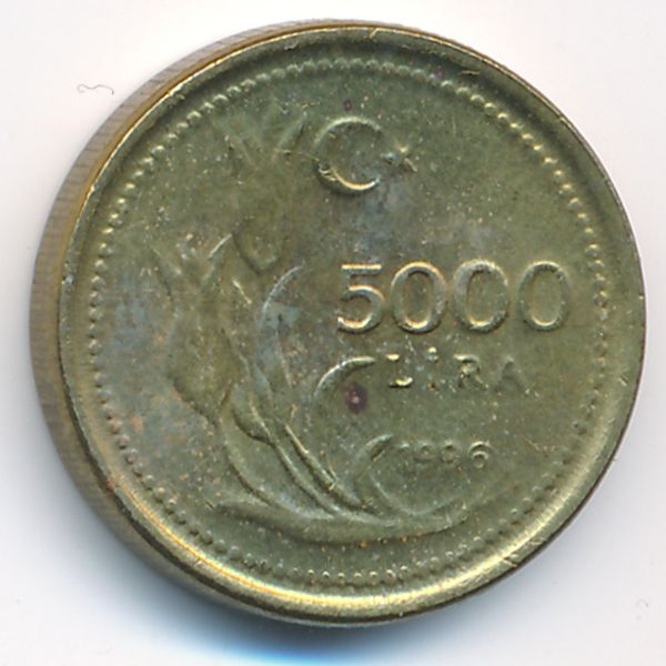 Турция, 5000 лир (1996 г.)
