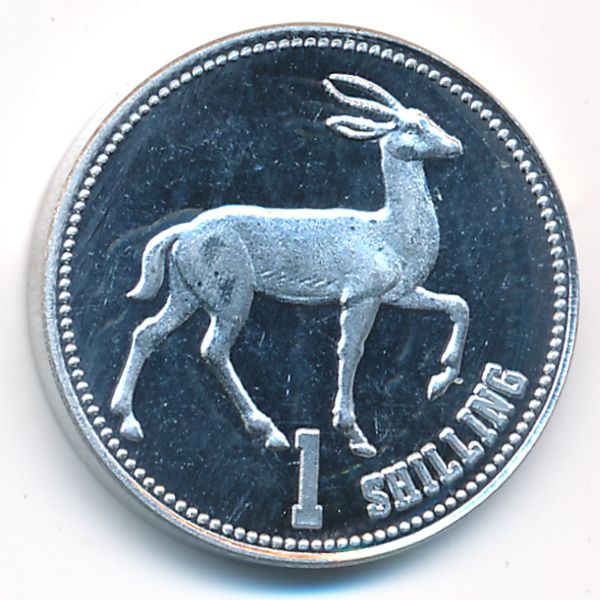 Сомалиленд, 1 шиллинг (2019 г.)