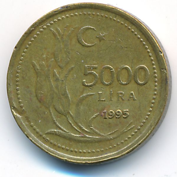 Турция, 5000 лир (1995 г.)