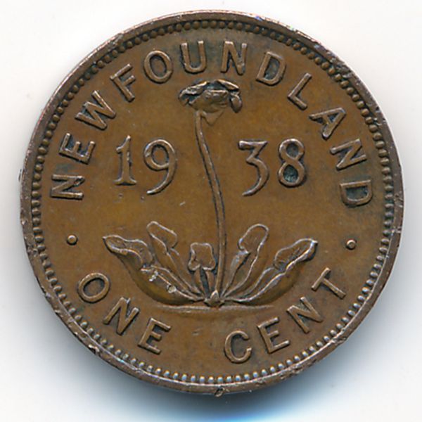 Ньюфаундленд, 1 цент (1938 г.)