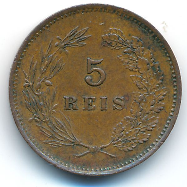 Португалия, 5 рейс (1906 г.)