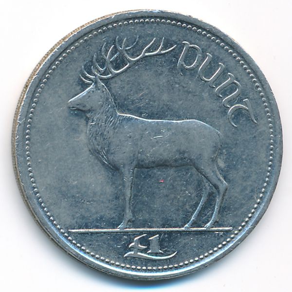 Ирландия, 1 фунт (1999 г.)