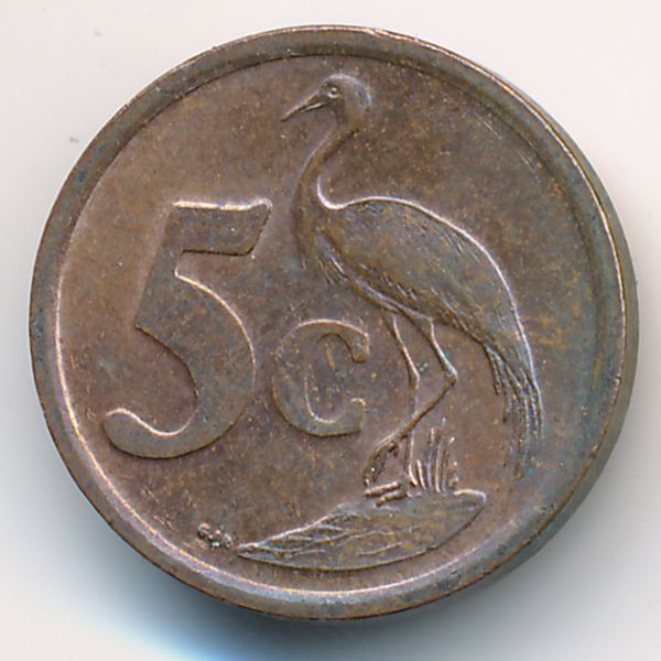 ЮАР, 5 центов (2003 г.)